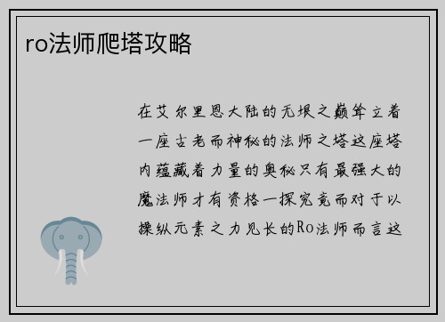ro法师爬塔攻略